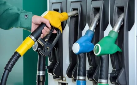 Petrol Price Today 2 September: डीजल और CNG Price Today के ताज़ा रेट, जानें आपके शहर का भाव