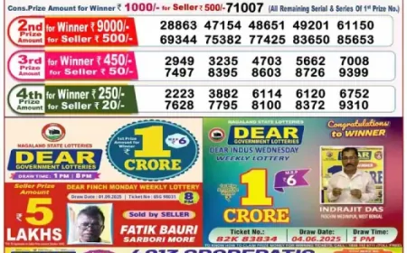 Lottery Sambad Result 12 Sep 8 PM Live | Nagaland State Lottery Sambad Night