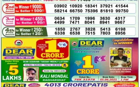 Lottery Sambad 1 PM Result Today 13 September 2025 | Nagaland State Lottery Morning Draw