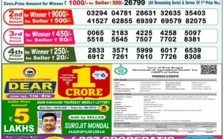 Sarkari Lottery Result 1 PM Today 15 September 2025 | Nagaland State Lottery Sambad Morning Draw