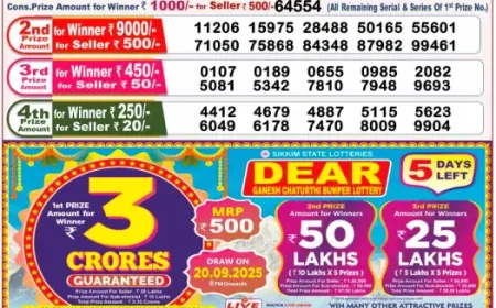 Lottery Sambad 8 PM Result Today 15 September 2025