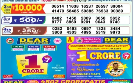 Lottery Sambad 1PM Result Today 15 May 2026 