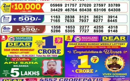 Lottery Sambad 1PM Result Today 11 June 2026