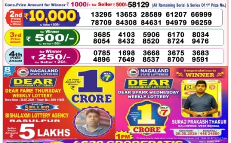 Lottery Sambad 8PM Result Today 01 August 2026